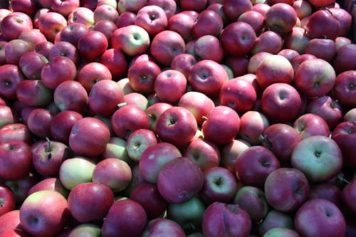 Kostenloses Stock Foto zu apfel, rote äpfel, roter apfel