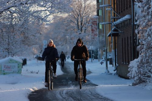 Free A man and a woman cycling on a snow-covered street lined with bare trees in winter. Stock Photo