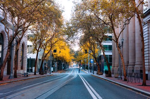 Free Quiet city street with autumn foliage and modern architecture, perfect for urban exploration. Stock Photo