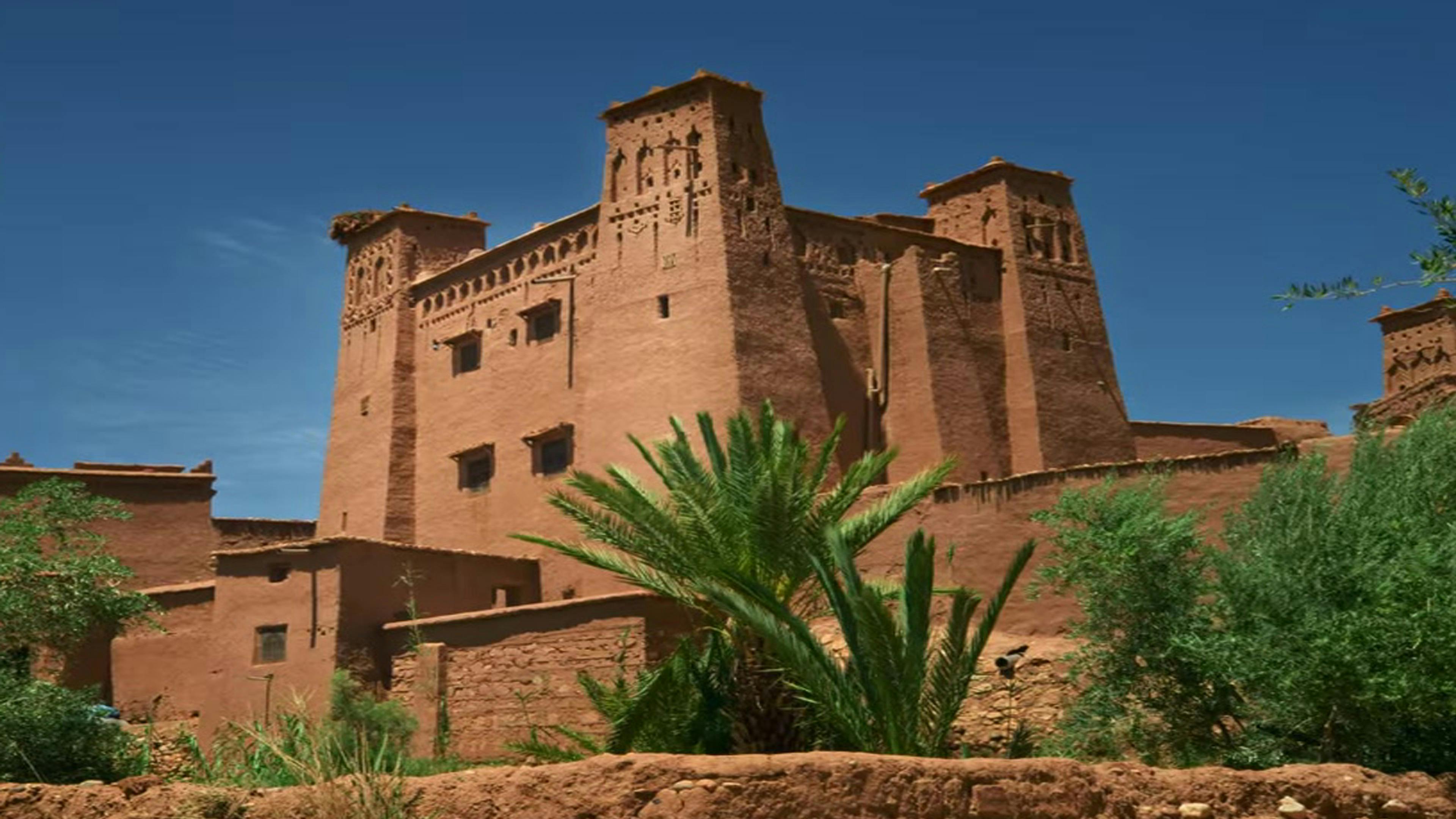 College Football Quarterback