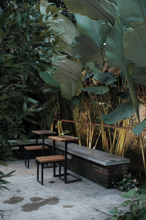 Plants over Terrace