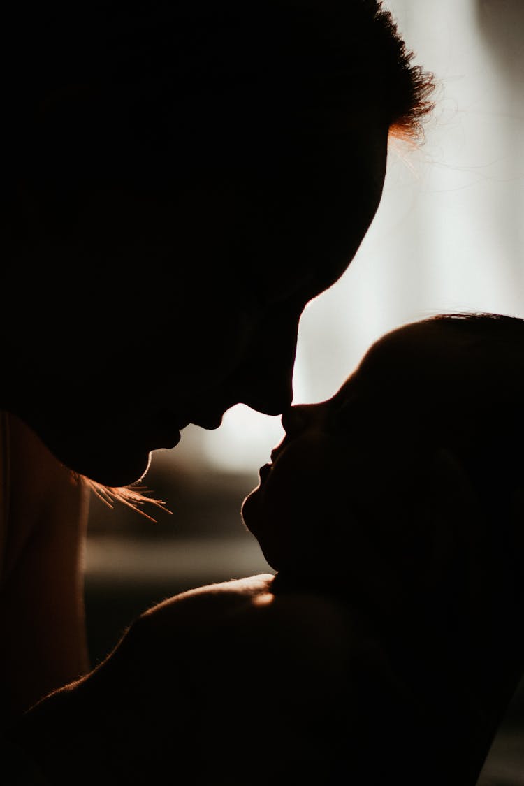 Silhouette Of Faces Touching With Noses