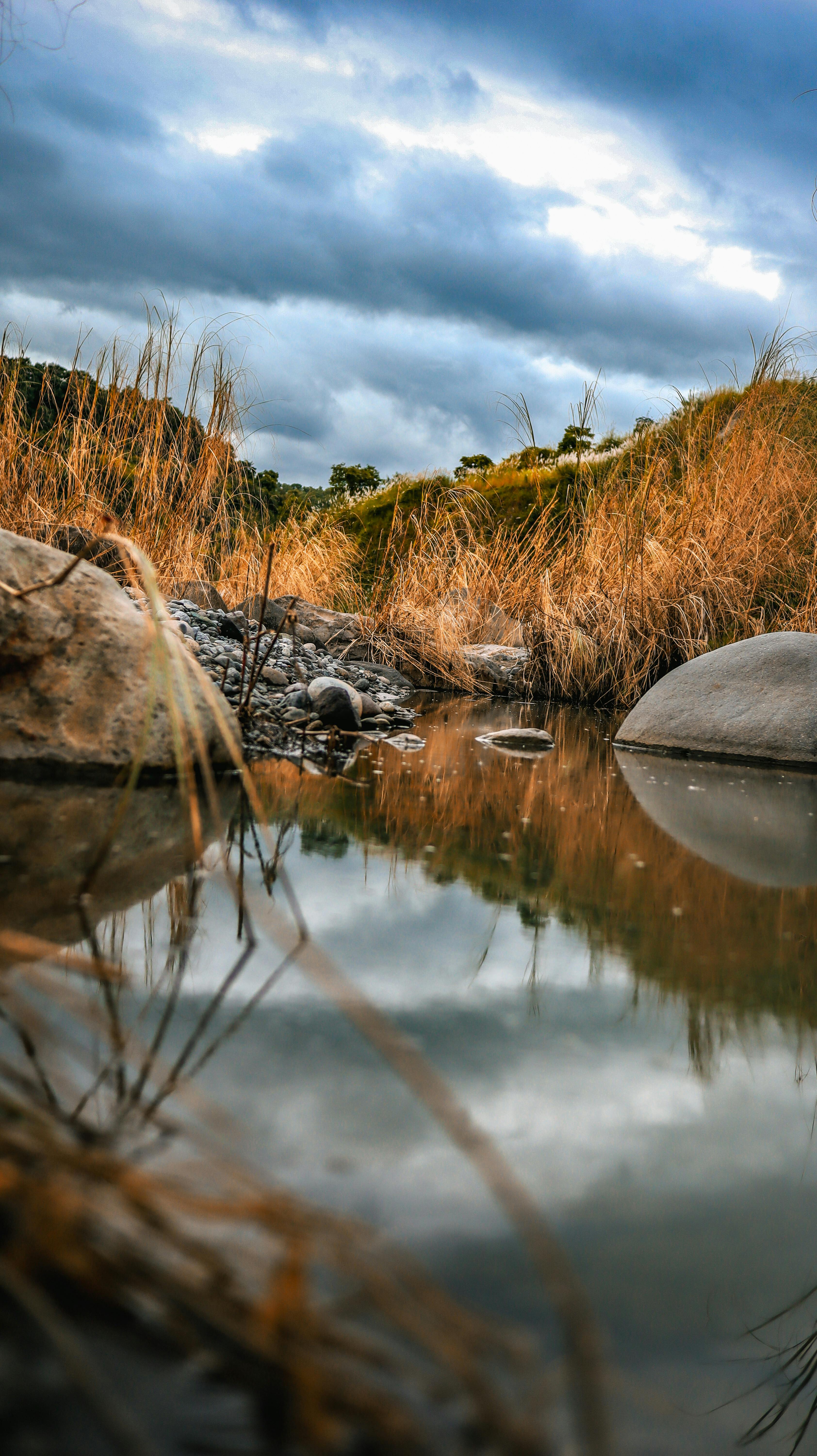 Seoul city street in autumn