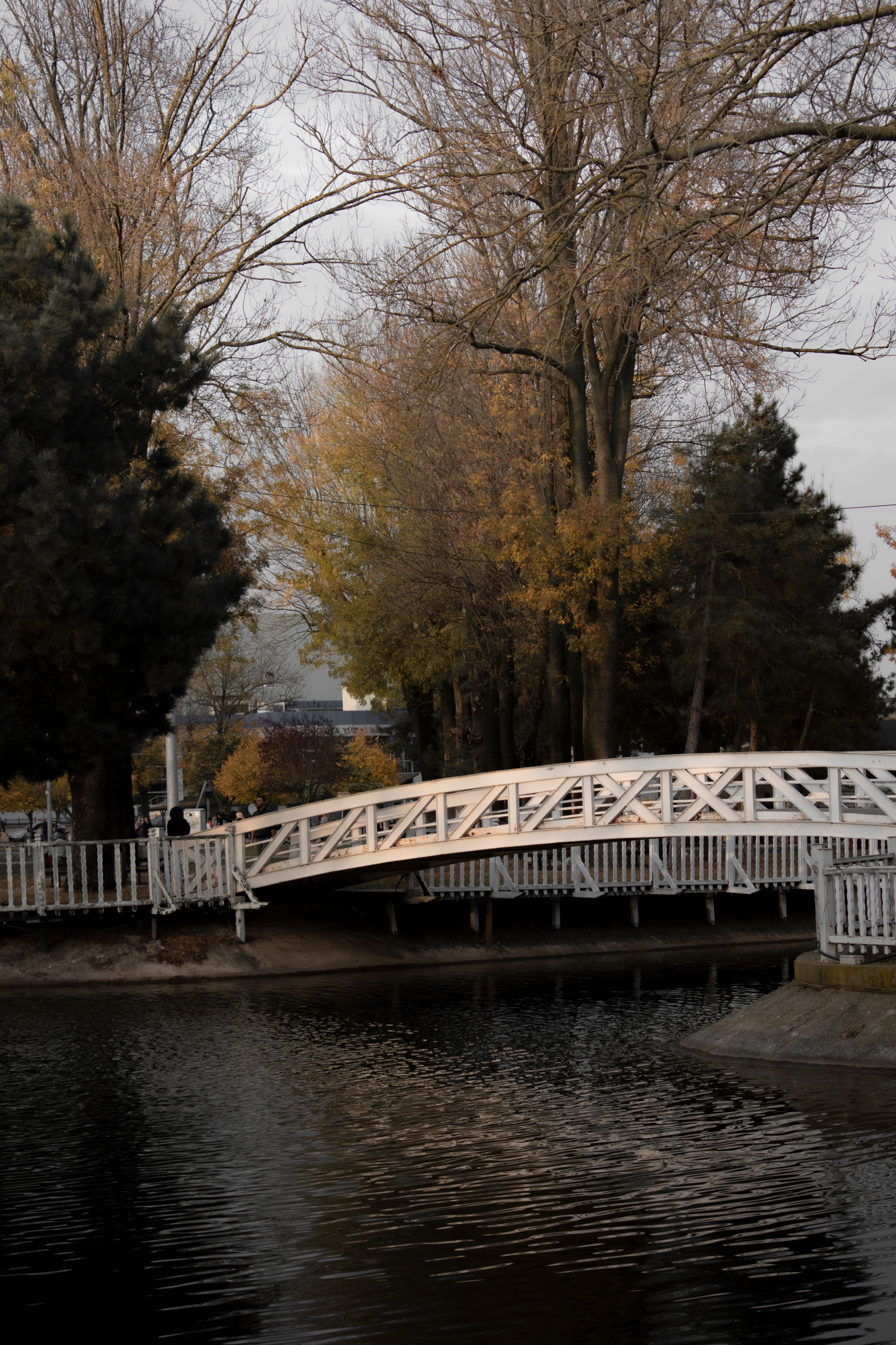 A Wooden Bridge over a River at a Park · Free Stock Photo