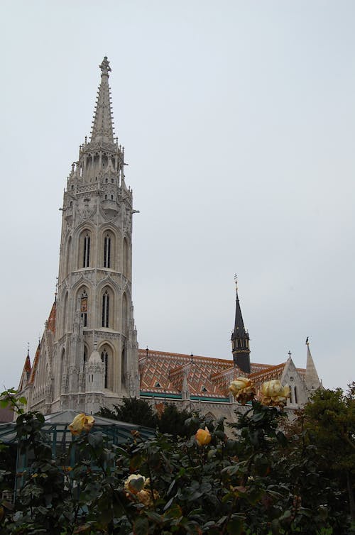 Imagine de stoc gratuită din arhitectura gotică, Budapesta, fațadă