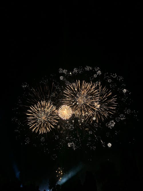 Imagine de stoc gratuită din Ajunul Anului Nou, focuri de artificii, fotografiere verticală
