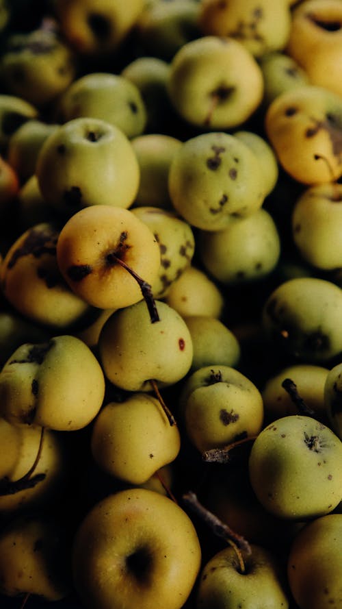 Close up of Apples