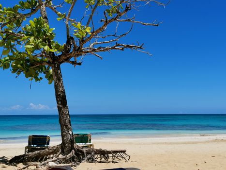 Negril 7-mile beach and cliffs — Jamaica