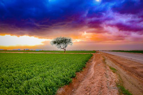 Field Under Cloudy Sky