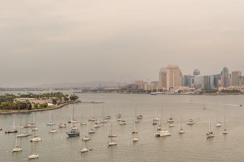 Foto stok gratis berperahu, california, cityscape