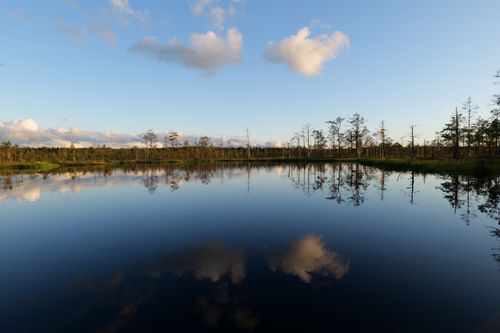 Free Serene lake with reflection of sky and trees under a calm evening. Stock Photo
