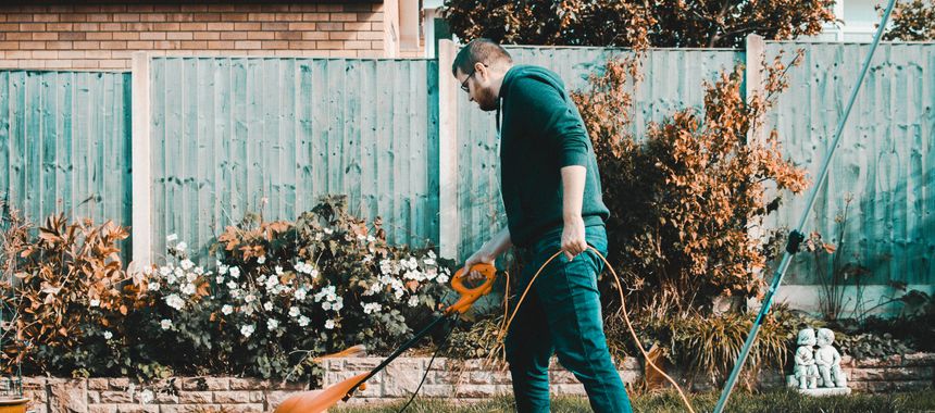Planting vegetables in raised garden bed