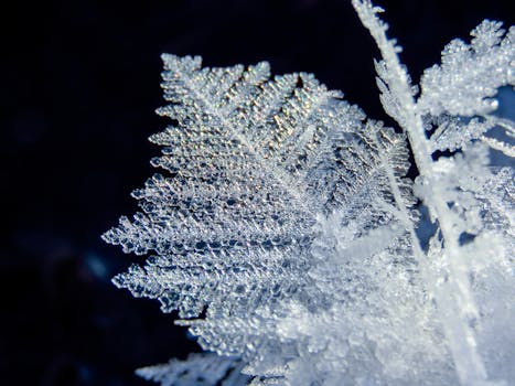 Detailed macro shot of a delicate snowflake crystal on a dark background.