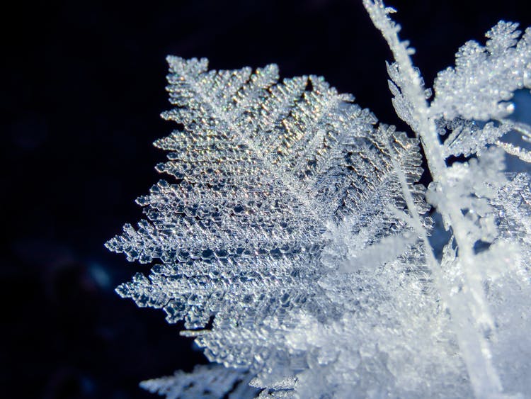 Close Up Of Snowflake