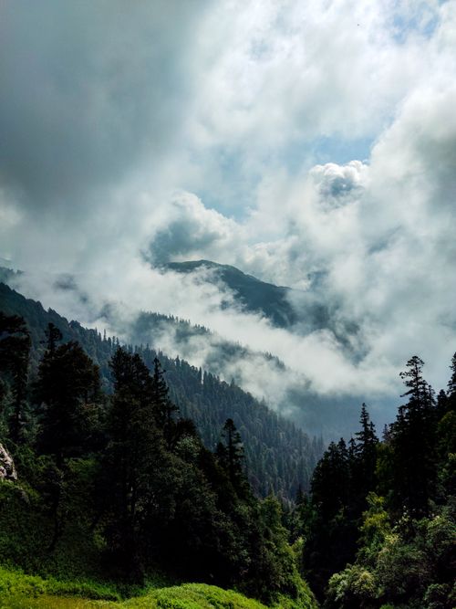 Free Majestic view of misty mountains and lush forest under dramatic clouds. Stock Photo