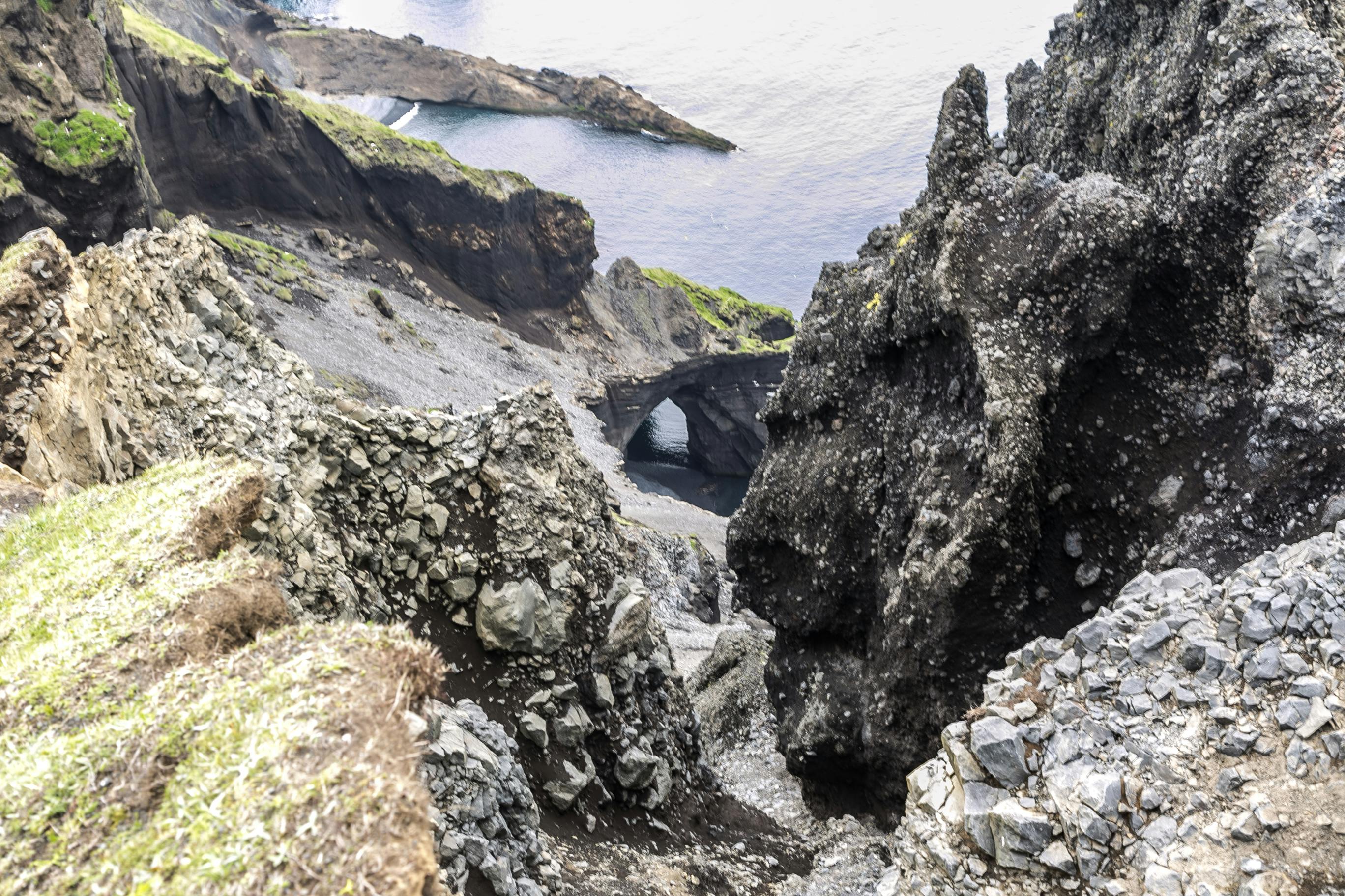 A photo of a forest at sunrise