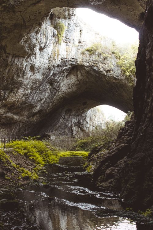 Free Explore the serene beauty of a natural cave with lush greenery and flowing water. Stock Photo