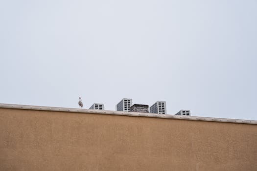 A lone seagull stands on a rooftop with HVAC units, under a clear sky.