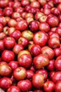 Photography of Pile of Apples