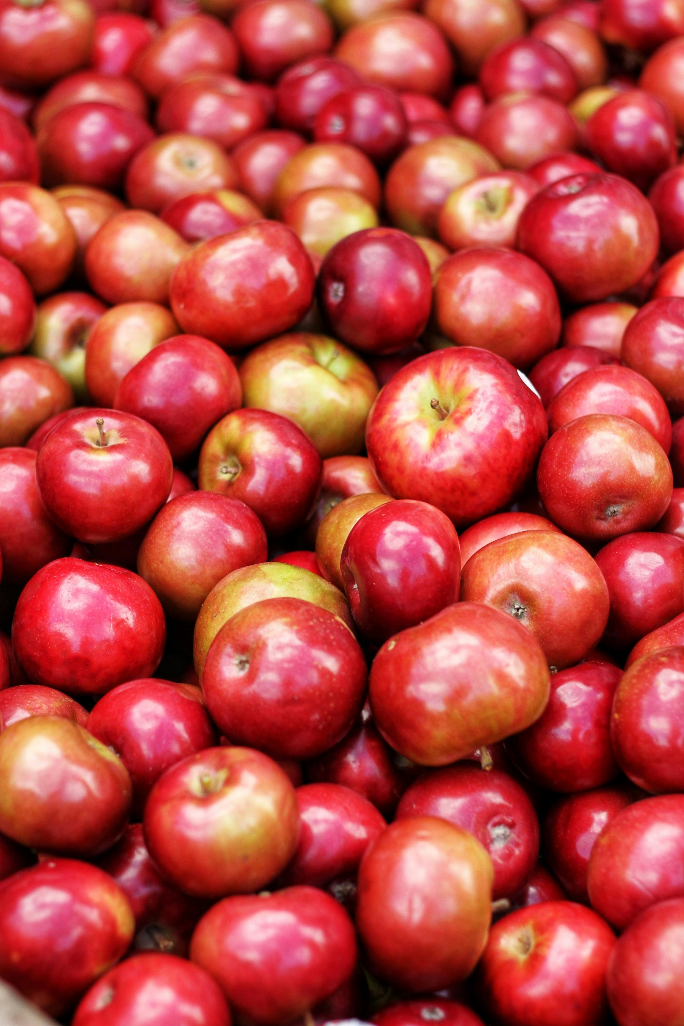 Focus Photography of Red Round Fruit · Free Stock Photo