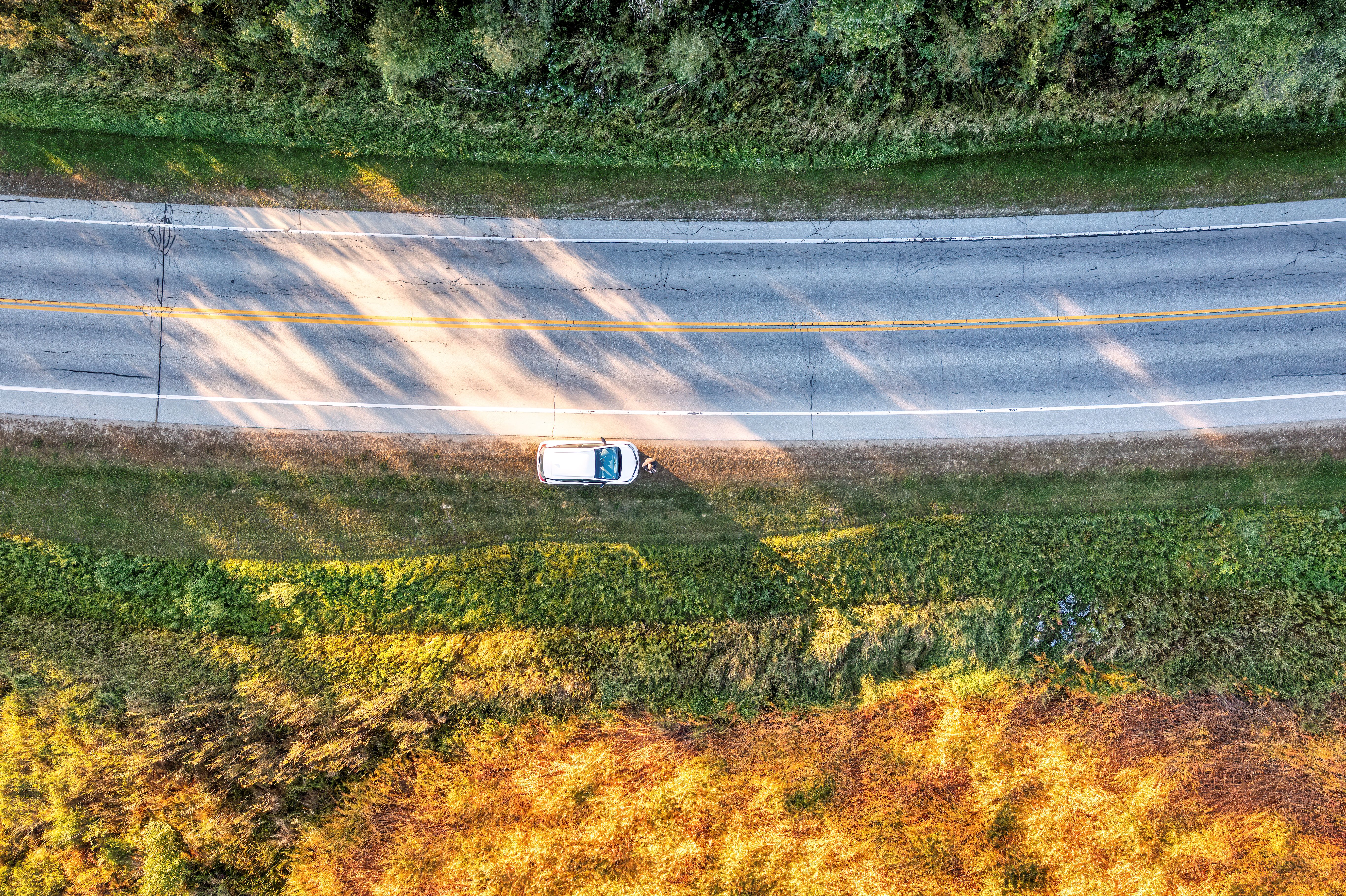 Drone view of a white car parked beside a rural road in Tell, WI, surrounded by lush greenery.