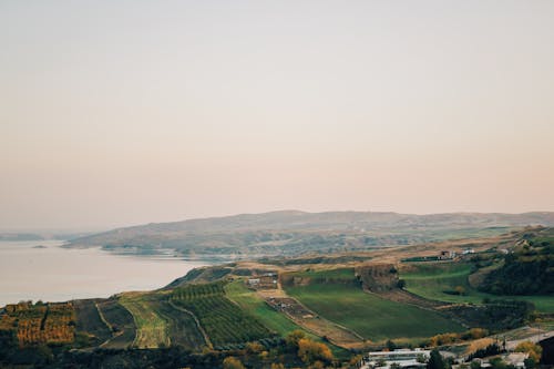 Aerial Shot of an Agricultural Field