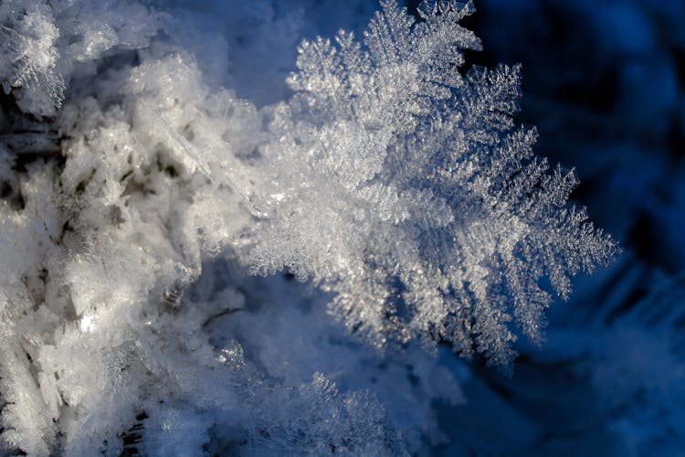 Snowflake In Winter