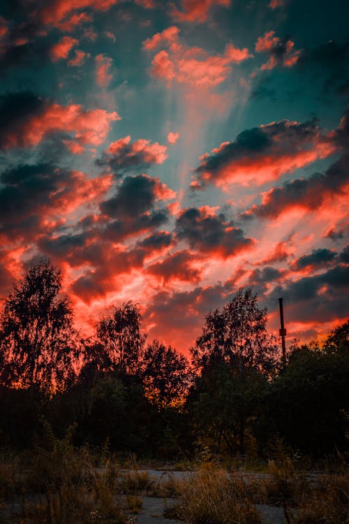 Základová fotografie zdarma na téma krajina, lehký, malebný