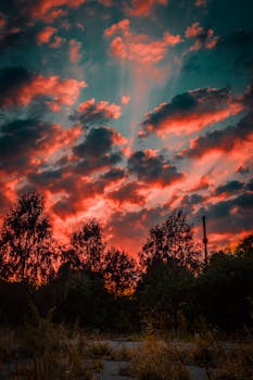 日落迷人，色彩鲜艳，树木的轮廓映衬着戏剧性的天空