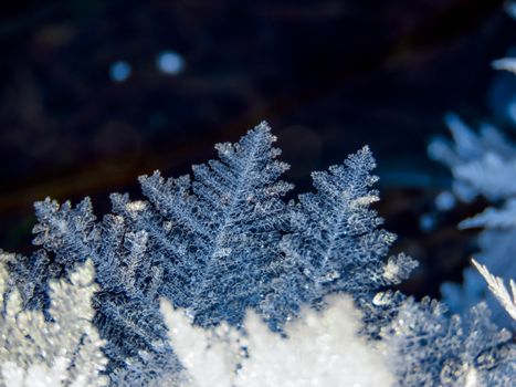 Intricate close-up capture of a detailed snowflake showcasing natural beauty of winter crystal formations.