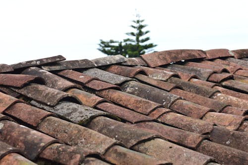 Selectieve Aandacht Foto Van Bruine Dakshingles