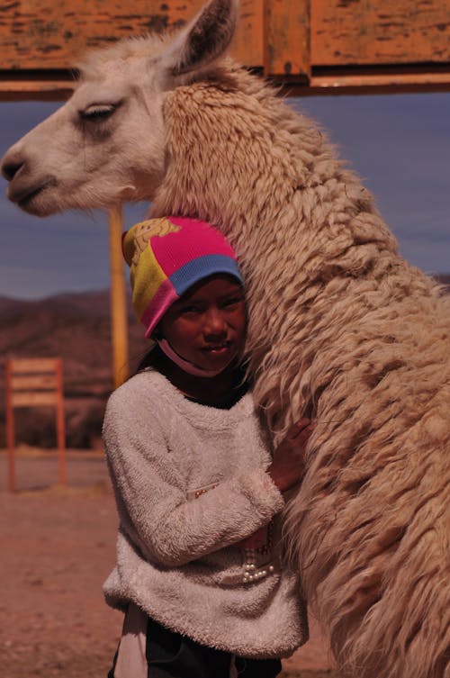 Girl Hugging Llama