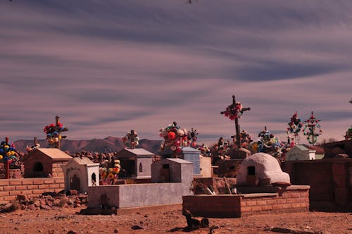 Základová fotografie zdarma na téma Argentina, hřbitov, kříže