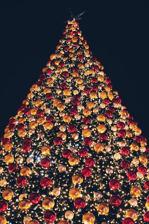 Photo of Christmas Tree at Night Time