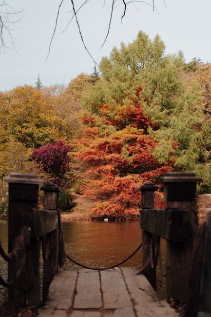 A scenic view of a rustic wooden bridge leading to an autumn landscape by the river.