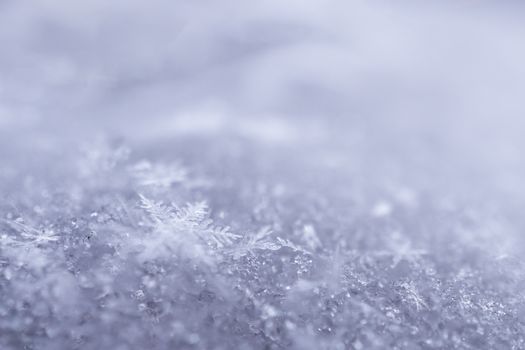 Intricate snowflakes captured in a beautiful frosty close-up highlighting winter's elegance.