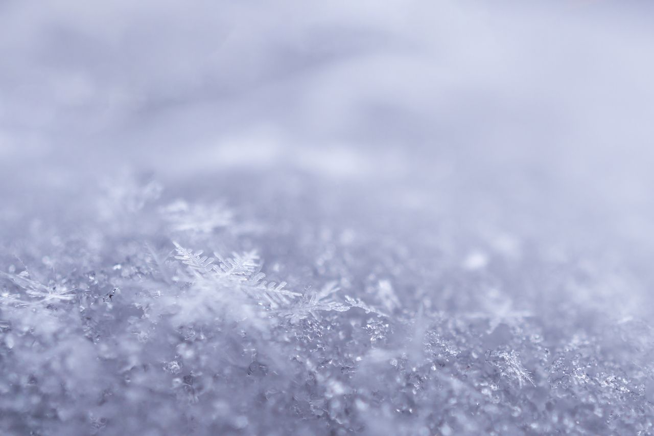 intricate snowflakes captured in a beautiful frosty close up highlight