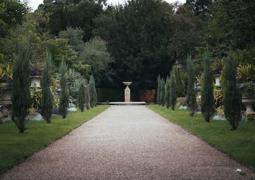 Brown Concrete Pathway Between Green Trees