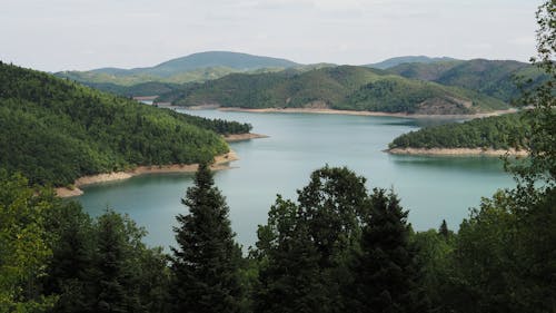 Scenic View of a Lake in the Nature