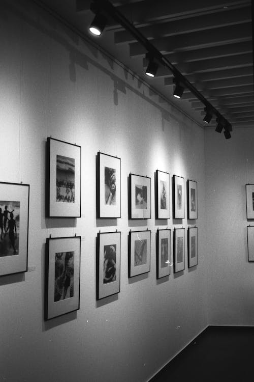 Ilmainen kuvapankkikuva tunnisteilla analoginen valokuvaus, Galleria, harmaasävyt