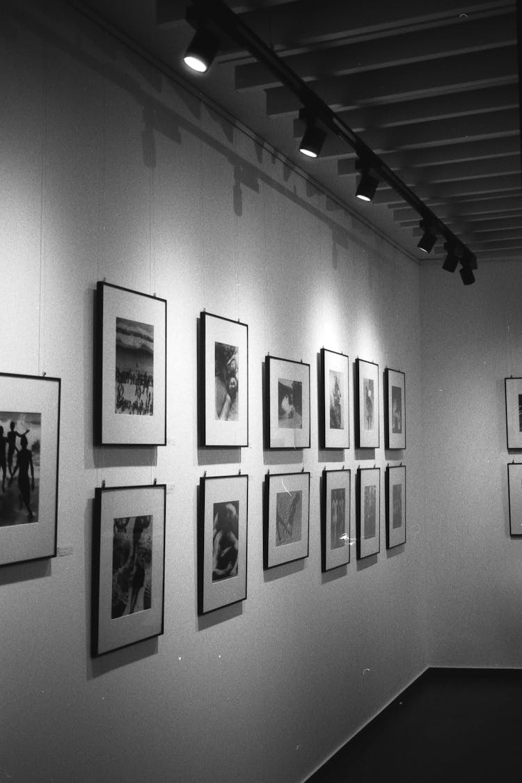 Art Photography Gallery 