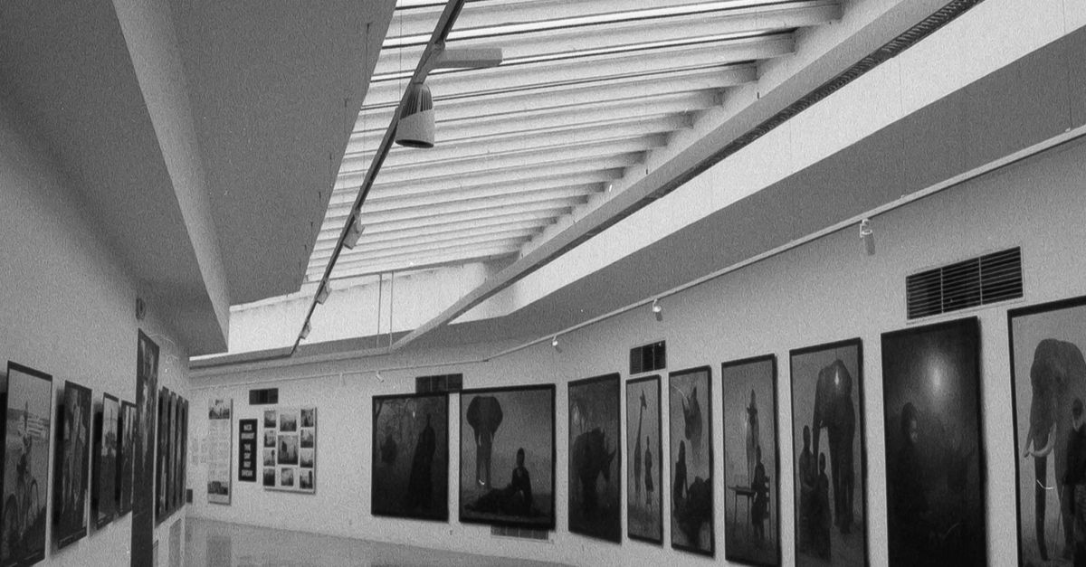 Art Gallery Hallway with Paintings on Wall · Free Stock Photo