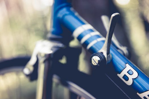 Detailed close-up of a blue bicycle's gear lever and top tube with a blurred background.