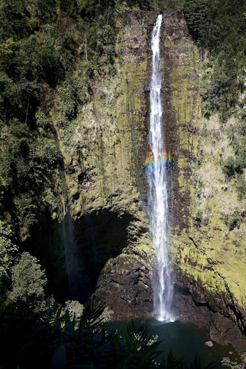 免費 akaka瀑布, 垂直拍攝, 夏威夷 的 免費圖庫相片 圖庫相片
