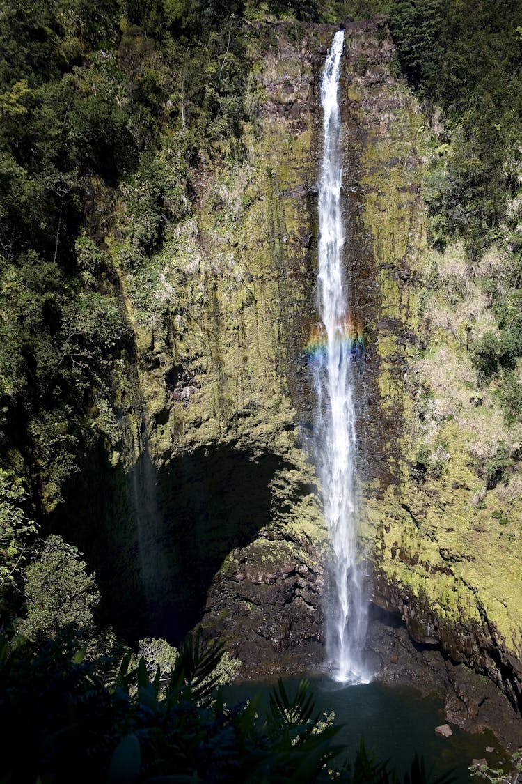 Akaka Falls In Hawaii