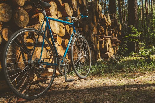 一辆老式蓝色自行车停在森林里的一堆伐木旁