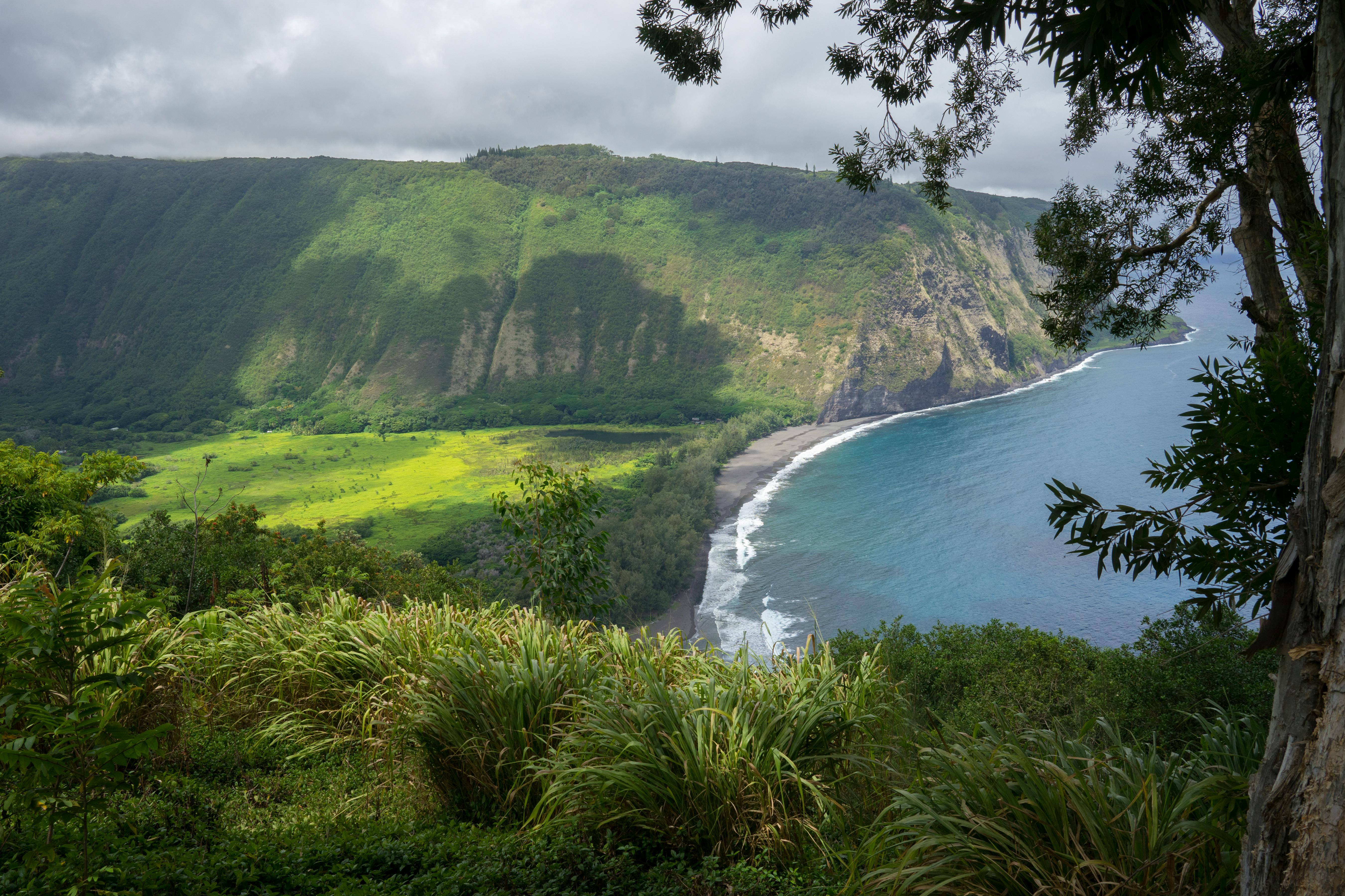 Aerial View of Waipio Valley, Island of Hawaii · Free Stock Photo