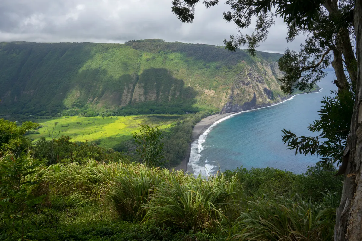 Aerial view of the lush green Waipio Valley on the Big Island