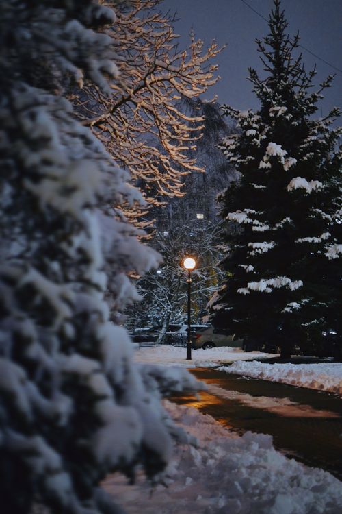 Free A serene winter scene featuring a snow-covered park pathway lit by a street lamp at night. Stock Photo