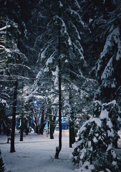 A magical snowy forest scene with illuminated trees under a winter night sky.